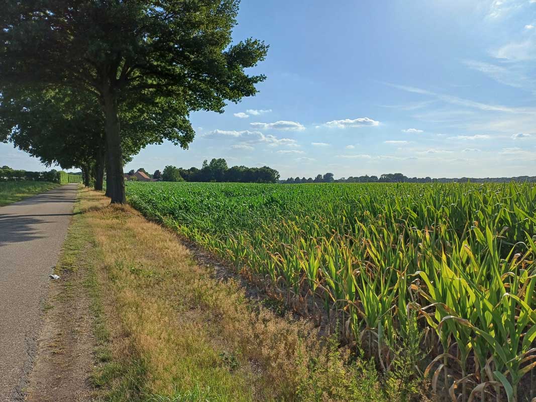 Hoeve-Lakerhof - Vakantiewoningen in Limburg