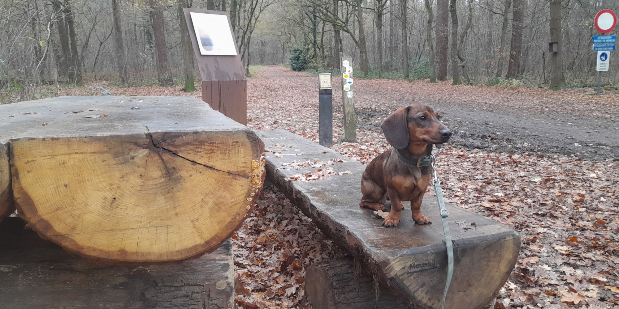 Hoeve-Lakerhof - Vakantiewoningen in Limburg - Wandelen