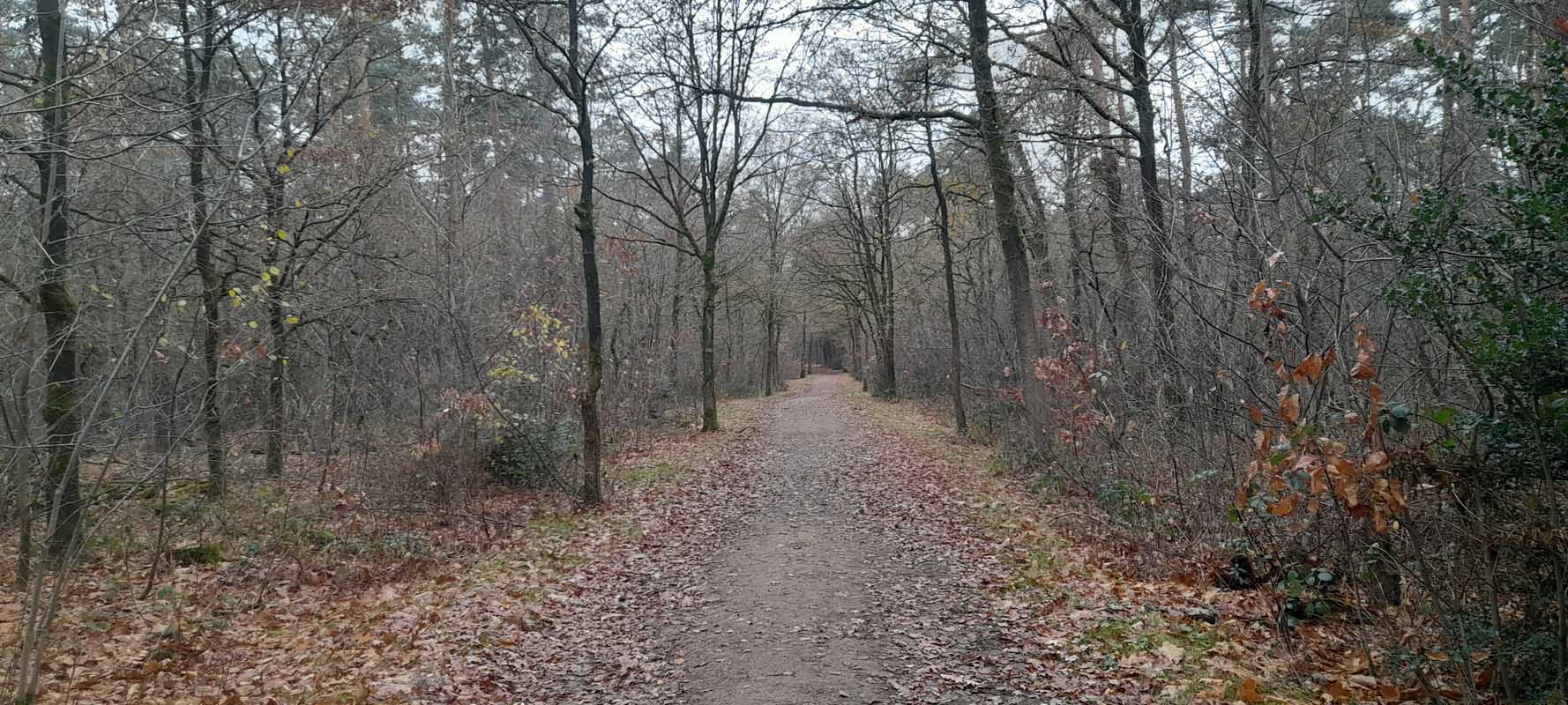 Hoeve-Lakerhof - Vakantiewoningen in Limburg - Wandelen