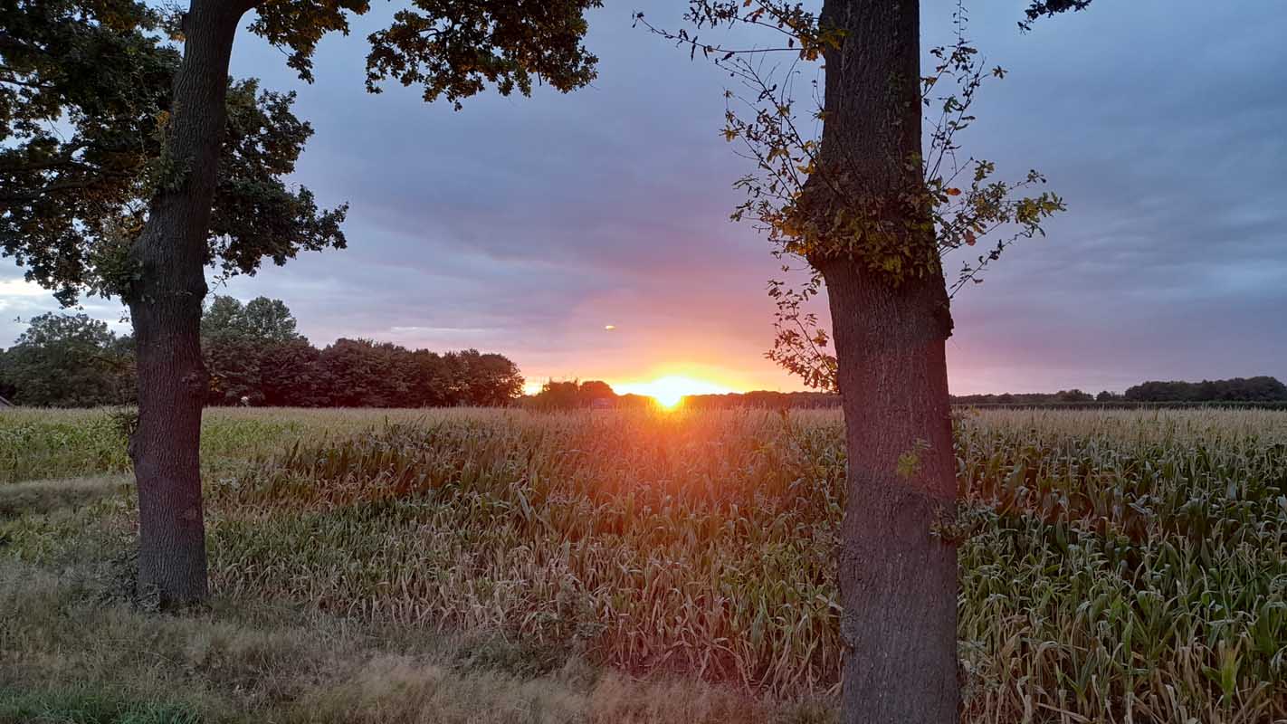 Hoeve-Lakerhof - Vakantiewoningen in Limburg