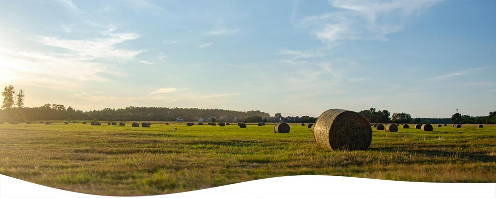 Hoeve-Lakerhof - Vakantiewoningen in Limburg