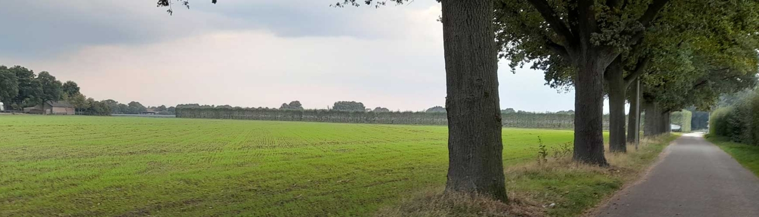 Hoeve-Lakerhof - Vakantiewoningen in Limburg