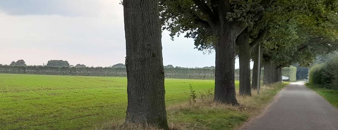 Hoeve-Lakerhof - Vakantiewoningen in Limburg